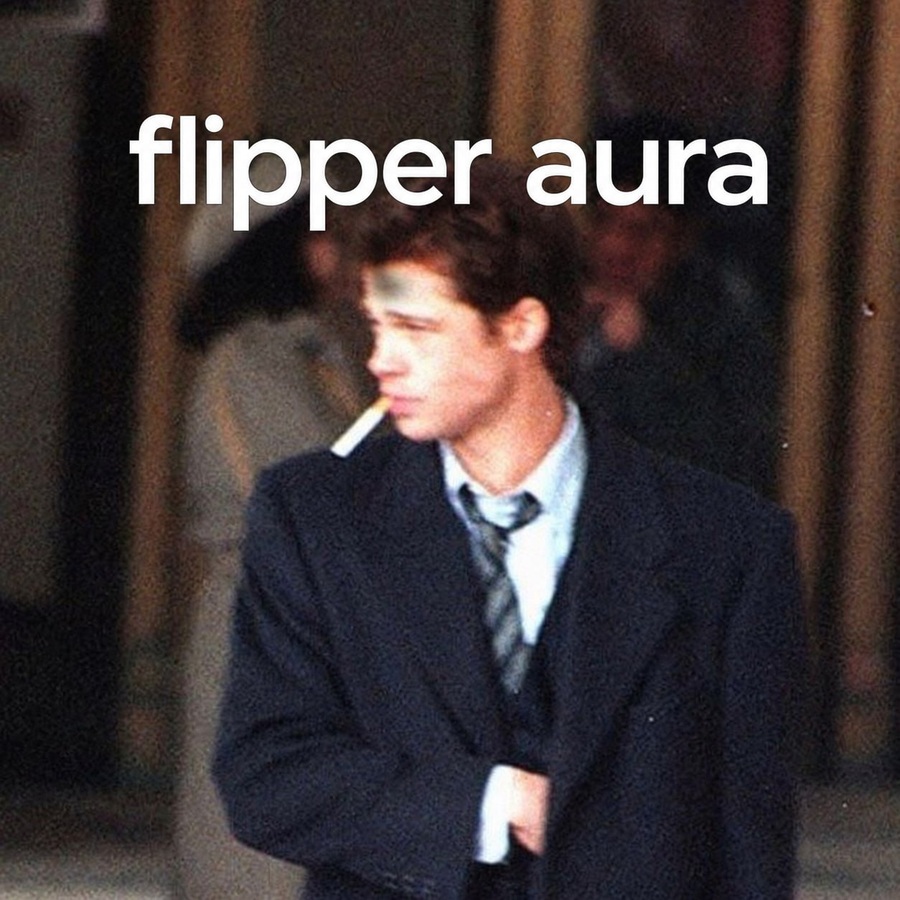 Flipper Aura portrait